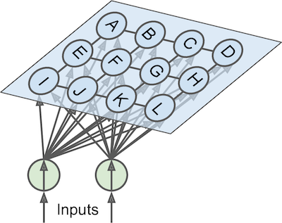 Self-organizing map