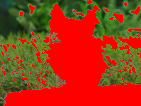 fillPoly.png