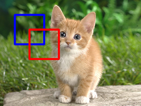 rectangle.jpg
