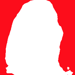 result.png