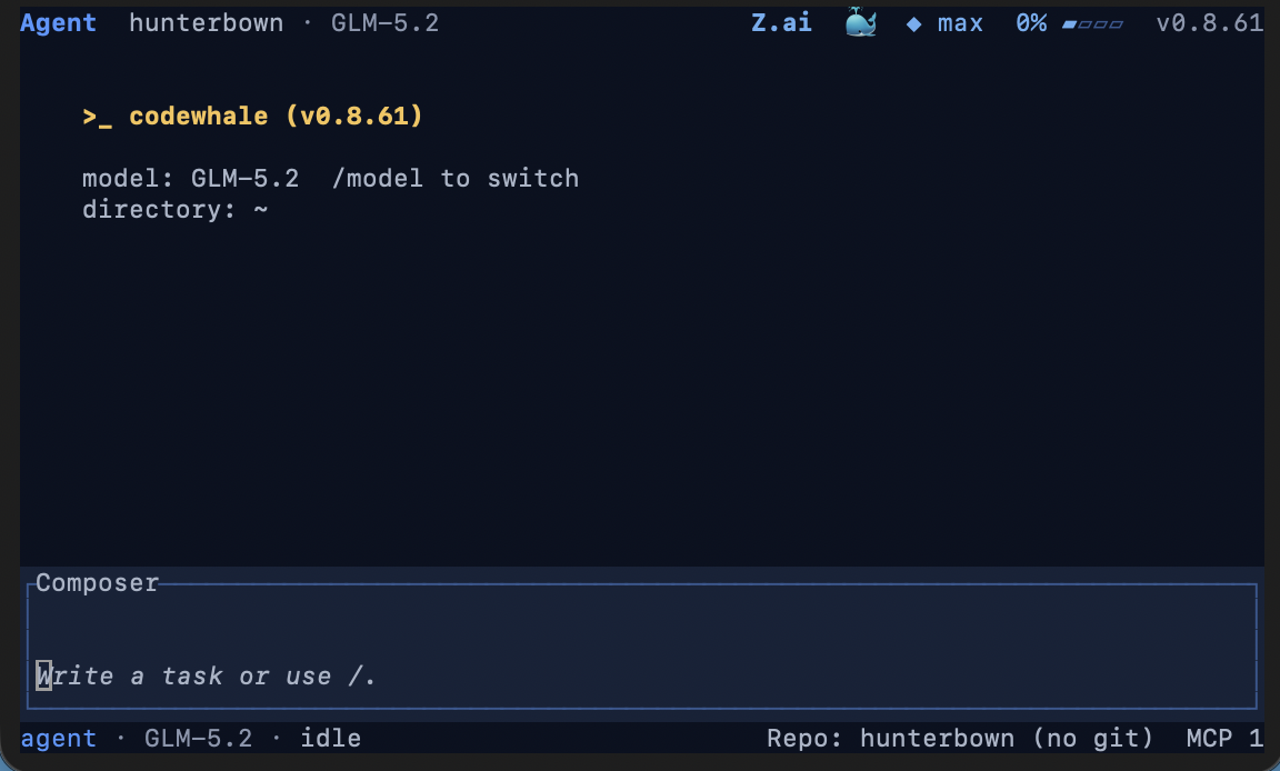 CodeWhale 在终端中运行