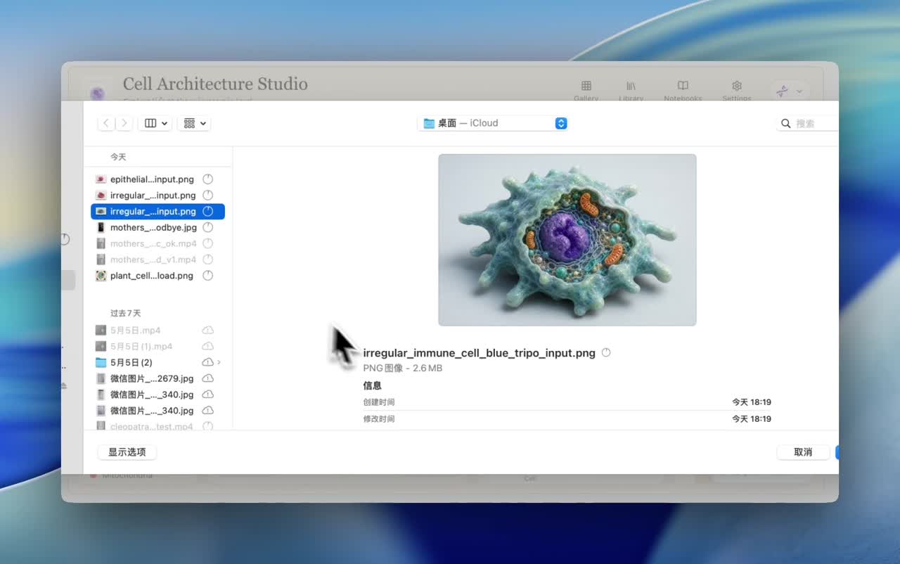 3D Model Studio 演示视频