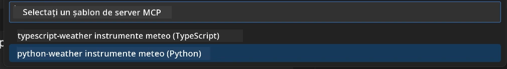 Python Template Selection