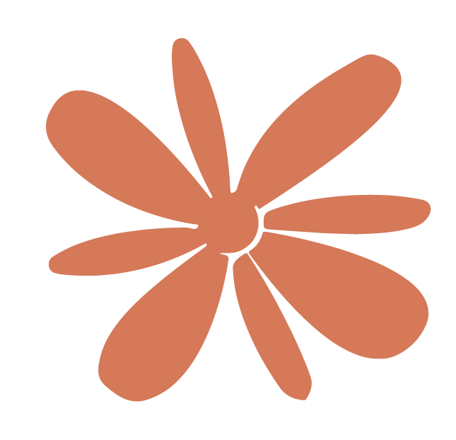 claudeapi 图标