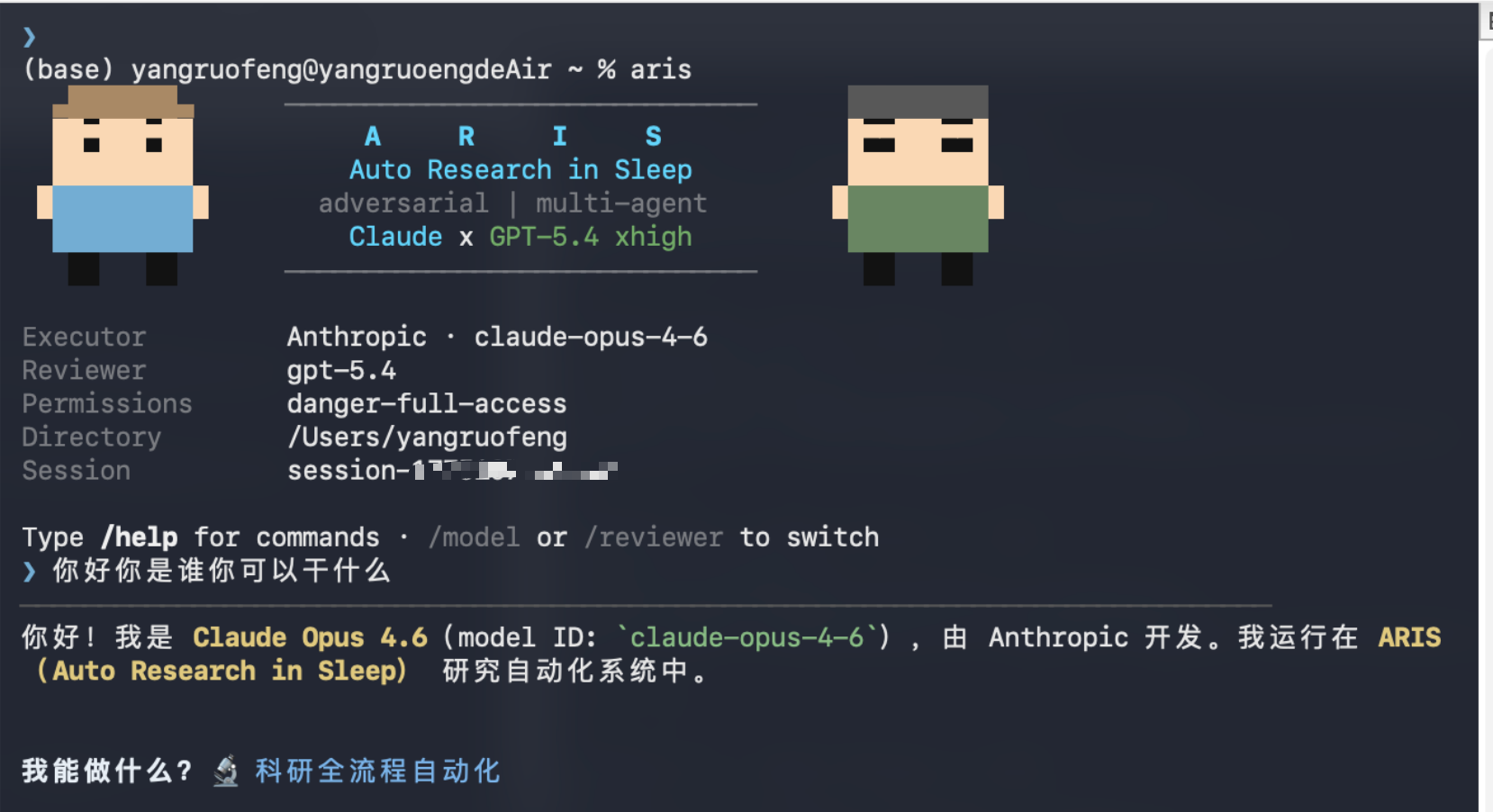 ARIS-Code CLI 终端 — Auto Research in Sleep